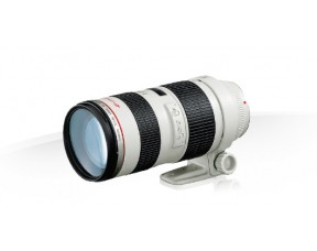 Canon EF 70-200mm f/2.8L IS USM..